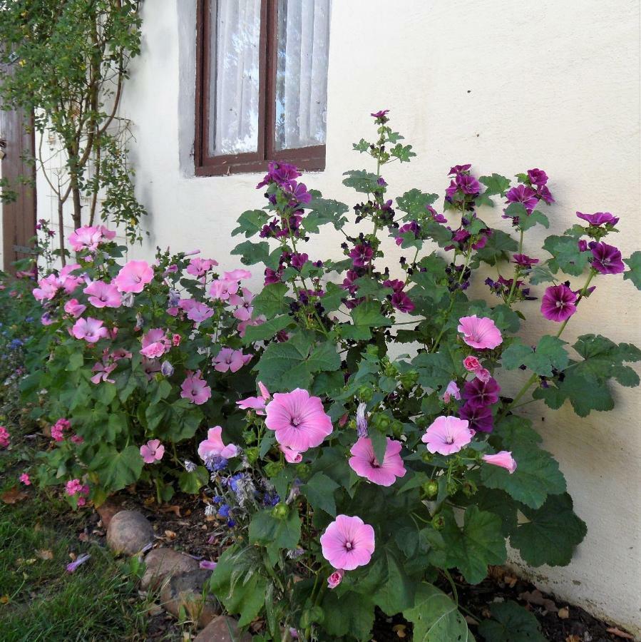 Herrenhaus Kunzwerda Bei Torgau - Aparthotel, Boardinghouse, Wohnen Auf Zeit מראה חיצוני תמונה